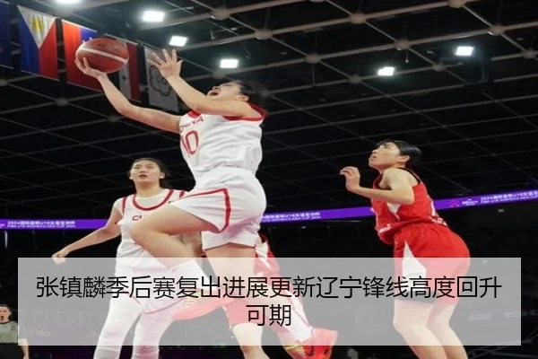 张镇麟季后赛复出进展更新辽宁锋线高度回升可期